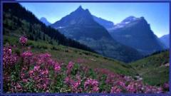 Riversedge Adventure Camp