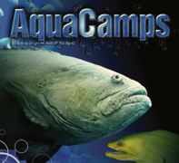 Aqua Camps