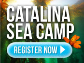 Catalina Sea Camp - Sea Adventures since 1979 